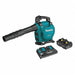 Blower Lithium-Ion Cordless 18V