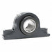 Pillow Block Brg 1 3/4 in Bore Cast Iron