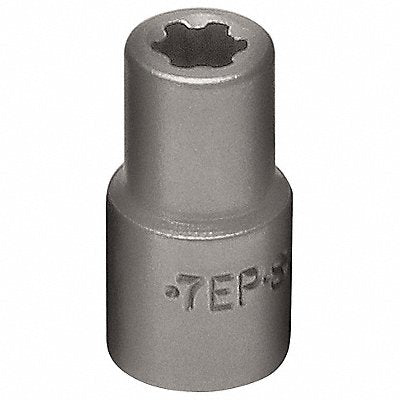 Socket 1/4 in Drive 6-Point Shape