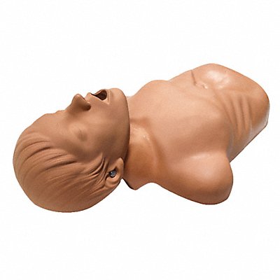 Training Manikin 22 L x 18 W x 10 H