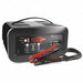 Battery Charger 12 ft Cable Automatic