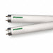 Fluorescent 32 W T8 Medium Bi-Pin (G13)