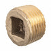 Square Socket Plug Brass 3 in MNPT