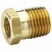 Hex Bushing Brass 1/2 x 1 in FNPT x MNPT