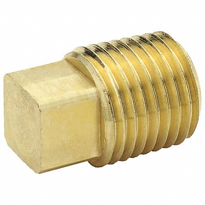 Square Head Plug Brass 1/2 in MNPT