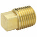 Square Head Plug Brass 1/2 in MNPT