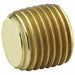 Recessed Hex Plug Brass 3/4 in MNPT