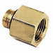 Reducing Adapter Brass Pipe Fitting