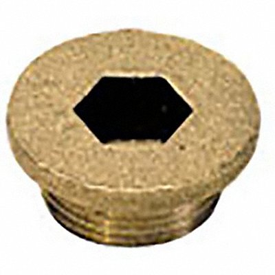 Internal Hex Head Plug w/Collar 3/8 in L