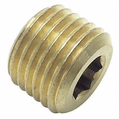 Internal Hex Head Plug 11/16 in L