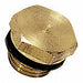 Hex Head Plug Brass Pipe Fitting