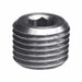 Internal Hex Head Plug 3/8 in L