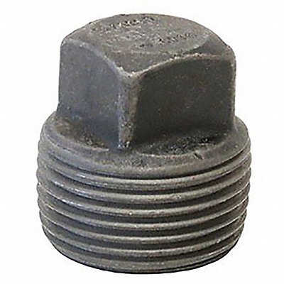 Square Head Plug Forged Steel 2 1/2 in