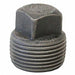 Square Head Plug Forged Steel 3/8 in