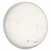 Dome Light Round Clear White