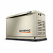 Standby Generator 29 Aluminum