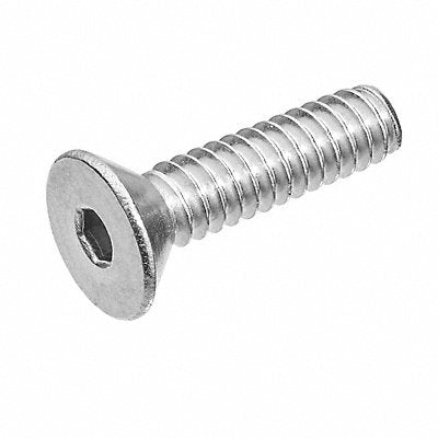 Socket Flat Head Screw SS 3/8 -24 2in L