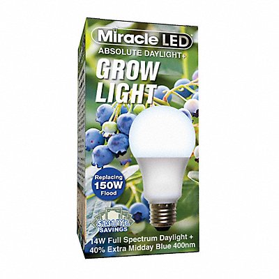 Light Bulb 120 V 14 W 185 mA LED