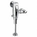 Selectronic Urinal Flush Valve