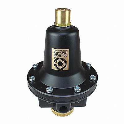 Regulator Tamperproof 0-200PSI 1/4 