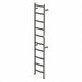 Vertical Ladder Rail Ext Steel 10 ft.