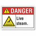 Live Steam Danger Rflctv Label 7inx10in