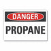 Danger Sign 10in x 14in Non-PVC Polymer