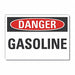 Gasoline Danger Lbl 10inx14in Polyester