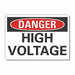 High Voltage Danger Labl 10x14in Polyest