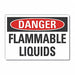 Flammable Liquid Danger Lbl 3.5x5in