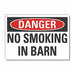 No Smoking Danger Lbl 10x14in Polyester