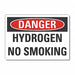 Danger Sign 10in x 14in Non-PVC Polymer