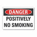 Danger Sign 10in x 14in Non-PVC Polymer