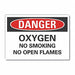 No Smoking Danger labl 10x14in Polyester