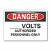 Danger Sign 7 in x 10 in Non-PVC Polymer