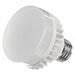 Cool White LED Bulb For Dry/Damp Applica