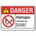 Alum No Smoking Danger Sign 10x14in Alum