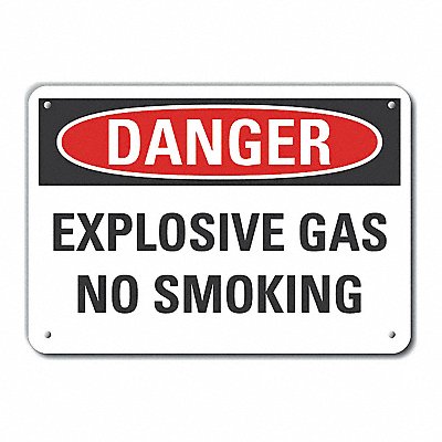 Alum No Smoking Danger Sign 10x14in Alum