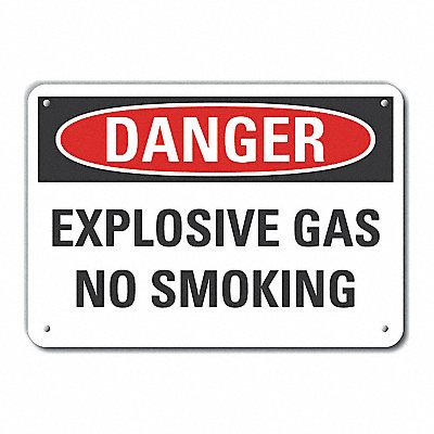 No Smoking Danger Sign 10x14in Plastic