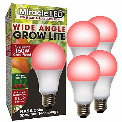 LightBulb RedSpcWideAngleMltPt 11W PK4