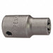 Torx Socket E5 1/4 