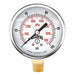 Economy 2.5 0-100 psi/Kpa 1/4 Btm