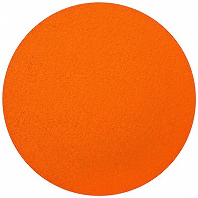 Sanding Disc Abrasive Ceramic 20 dia