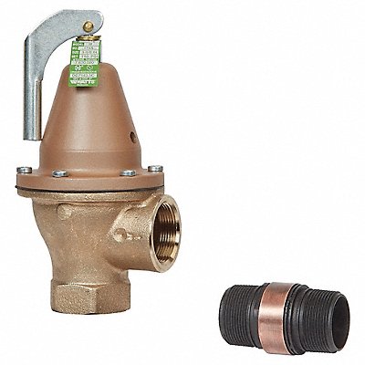 Temperature and Pressure Relief Valve