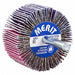 Shank Mini Flap Wheel2 x 1 x 1/4 in Pin