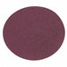 PSA Sanding Disc 8 in Dia 100 G