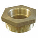 Fire Hose Adapter Straight NPTxNPT