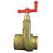 Hose Gate Valve 2.5in MxF NST Brass