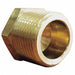 Hex Head Plug Brass 1/2 in 10 PK