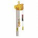 Air Chain Hoist 1100 lb Cap. 10 ft Lft